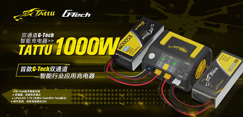 TA1000智能充电器 TA1000智能充电器