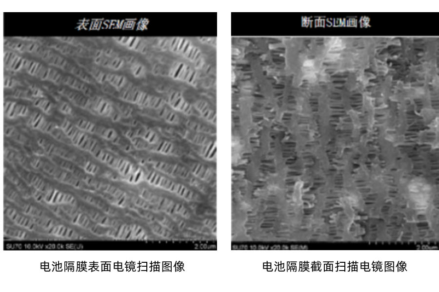 格瑞普电池隔膜扫描图片 格瑞普电池隔膜扫描图片