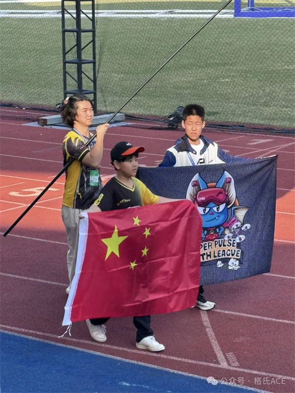 龙队、小白、果果